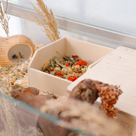 Buddelbox